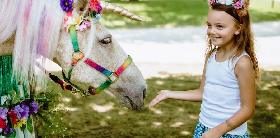 Real-life Unicorn Experience