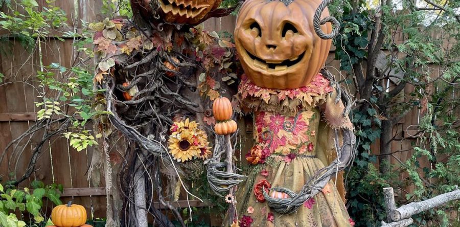 Enchanted Pumpkin Patch