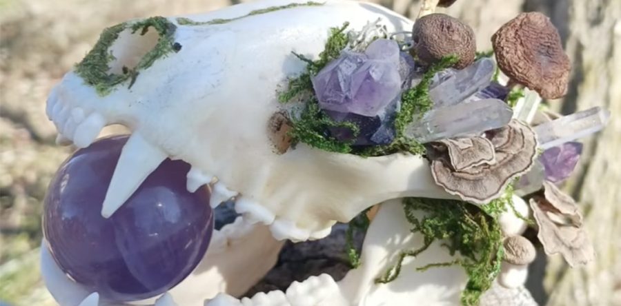 MoonDove’s Treasures