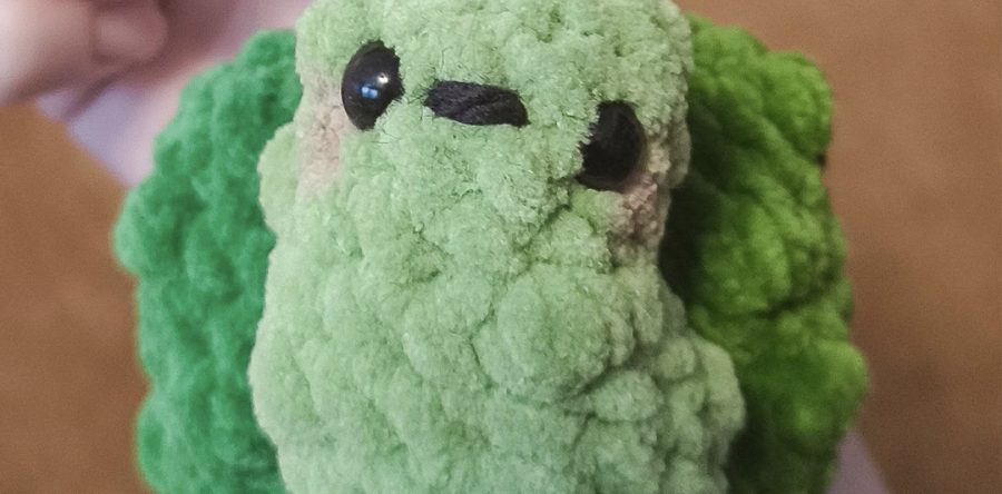 Down The Rabbit Hole